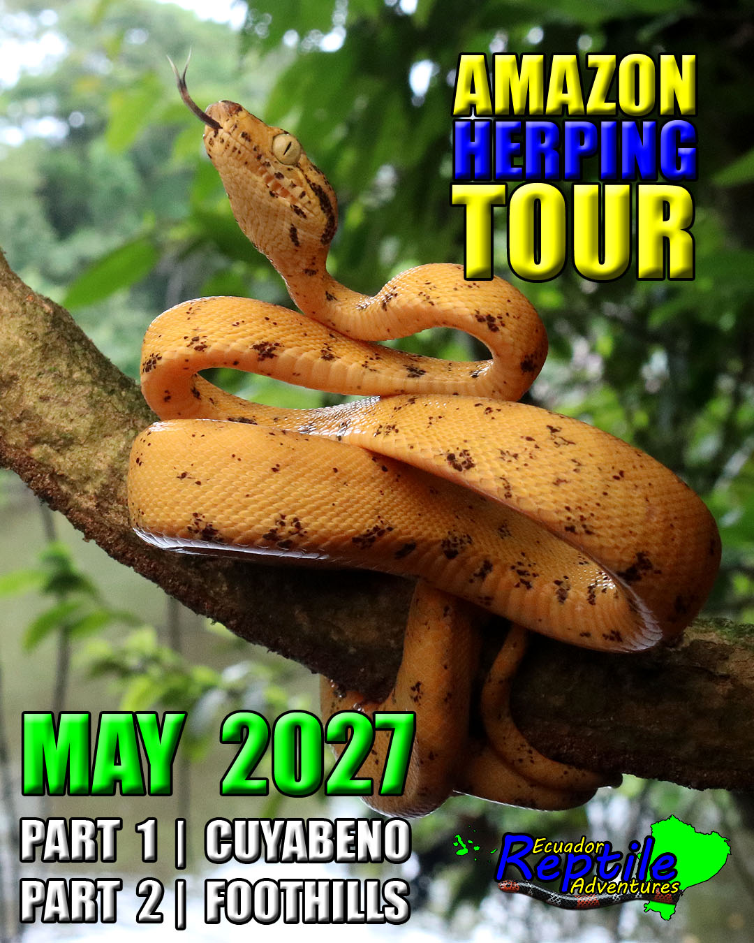 AmazonHerping2027