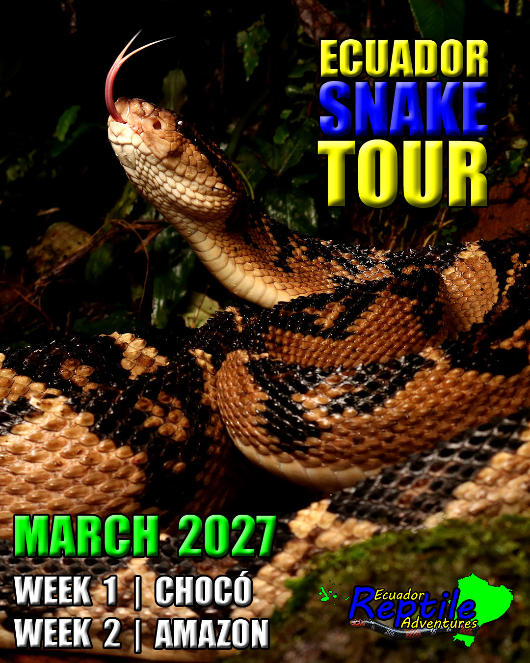 EcuadorSnake2027