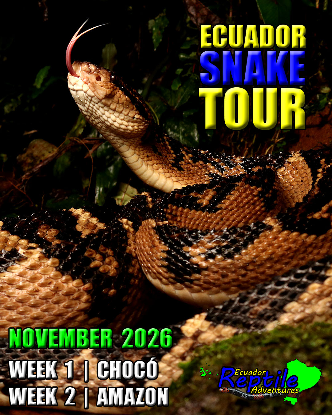 NovemberTour2026